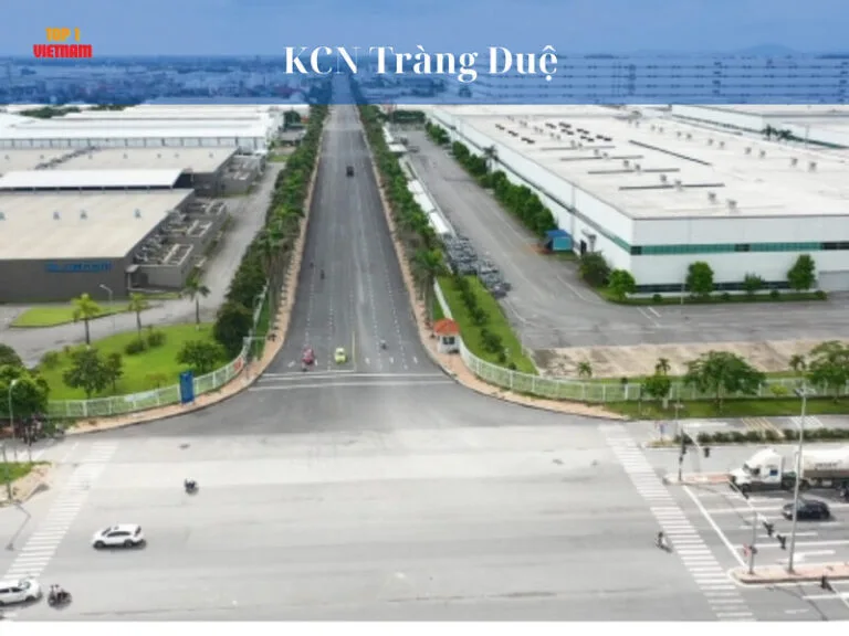 Khu công nghiệp Tràng Duệ